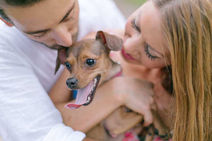 Engagement with puppy